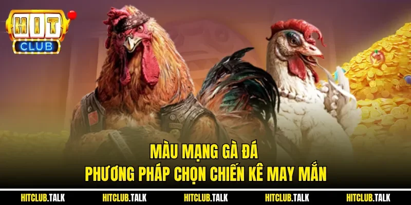 Màu Mạng Gà Đá